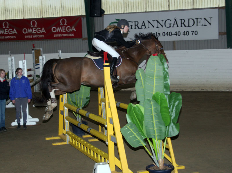 20080405_133648 Cornelia Sandberg Rhea